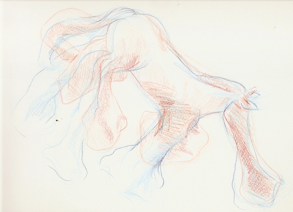 twin drawingMain function of a toy horse (2012)&amp;nbsp;pencil on paper